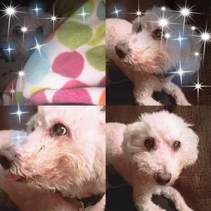 Meet your Posher, Andrea